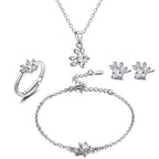 Paw Set 4 Pieces with Zirconia Heart