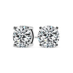 Chic White Gold Tera Earrings