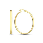 Radiant Drop Earrings Style