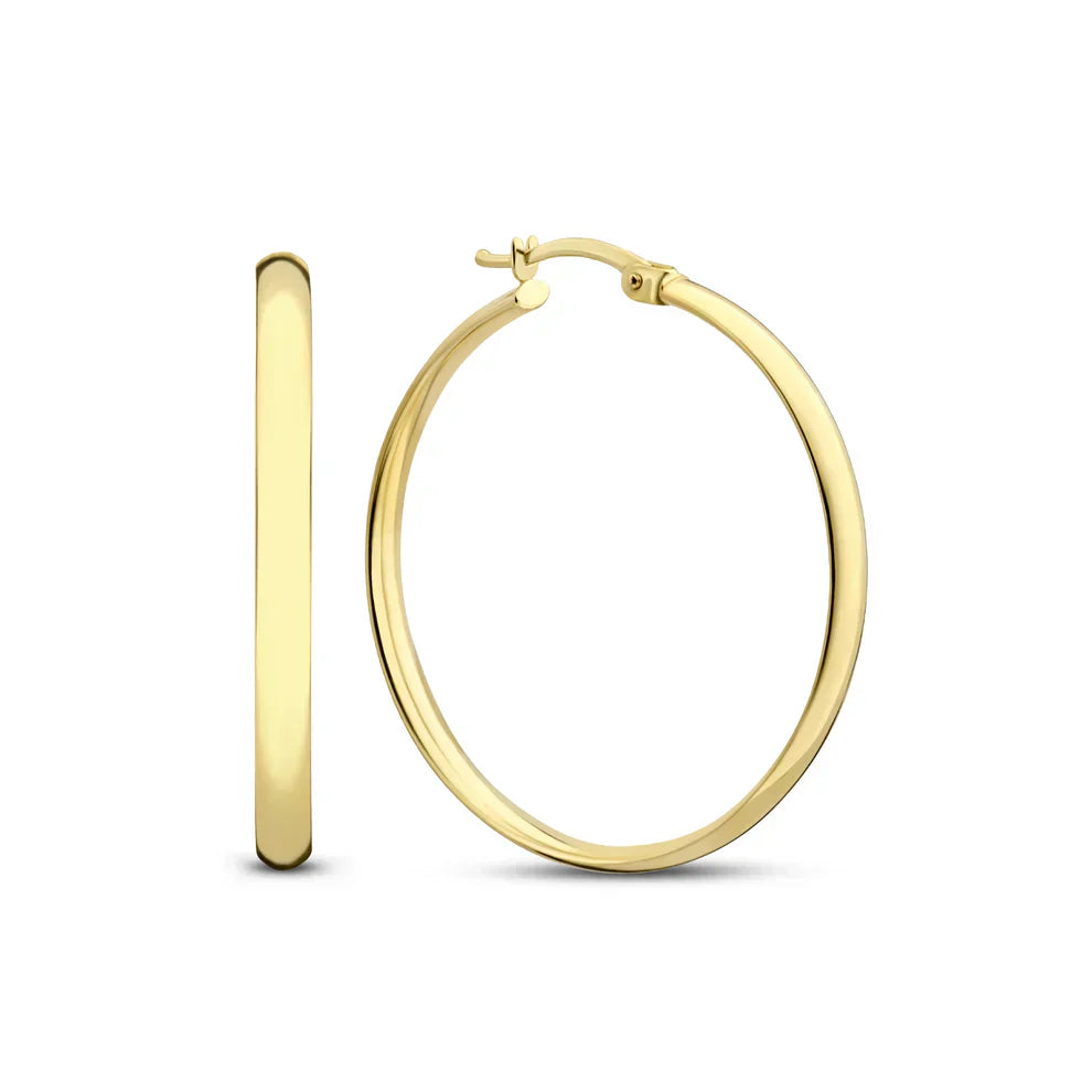 Radiant Drop Earrings Style